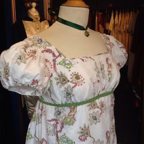 Ladies 19th Century Jane Austen Regency Day Costume Size 8 - 10 Image